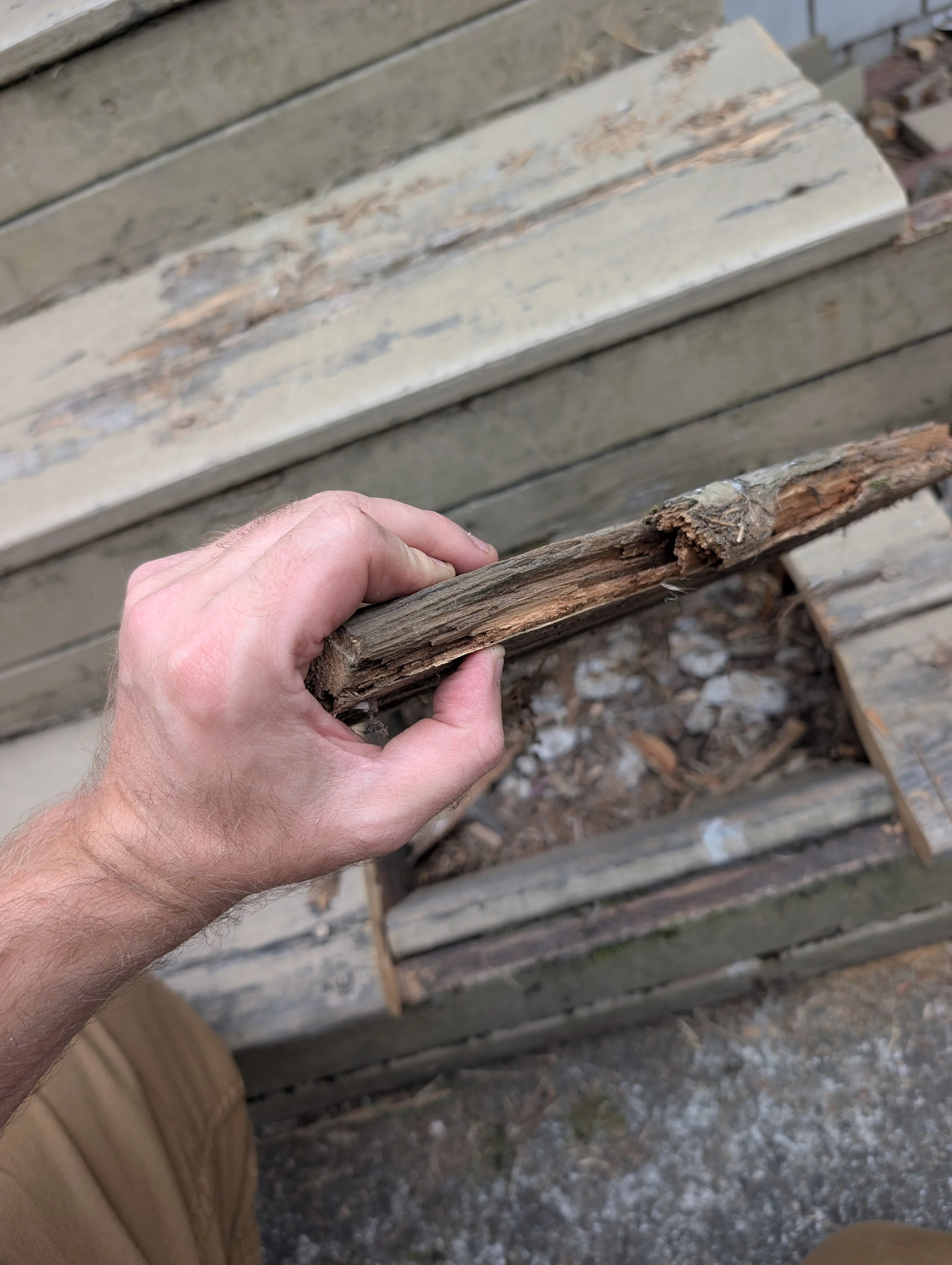 Replace porch treads and risers 2